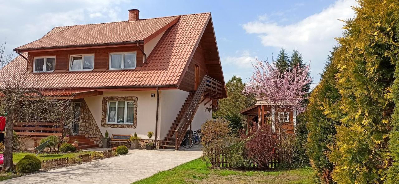 Rodzinny Zakatek "U Gluszkow" Bieszczady Myczkowce Dış mekan fotoğraf